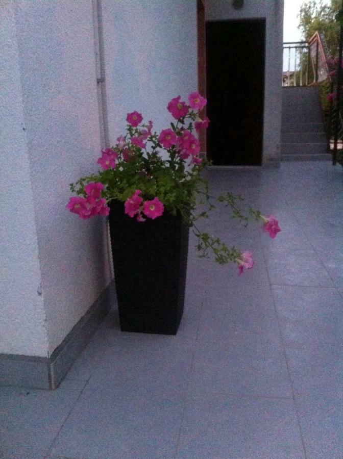 Apartmani Jadranka Vodice Kültér fotó